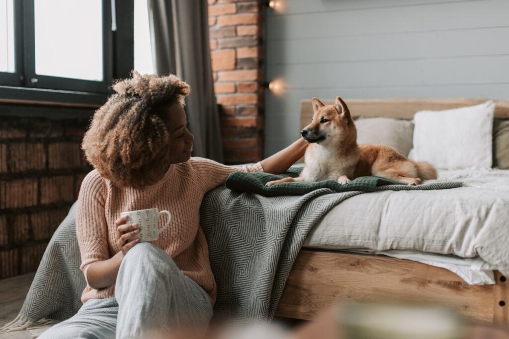 Dog apartment