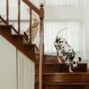 Can a body corporate force residents to use the fire stairs for pet exits or is it against legislation to enforce this pet rule?