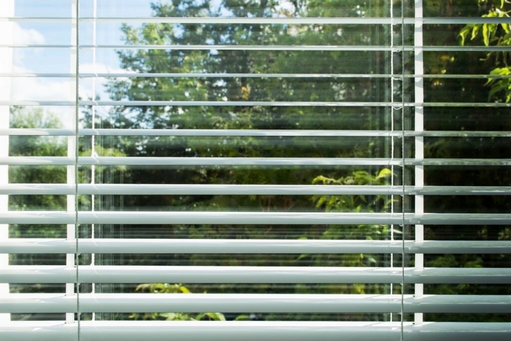 forest through large windows