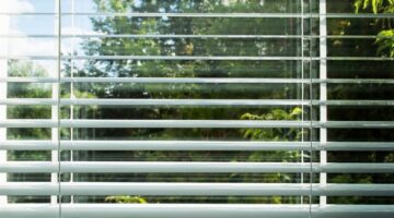 forest through large windows