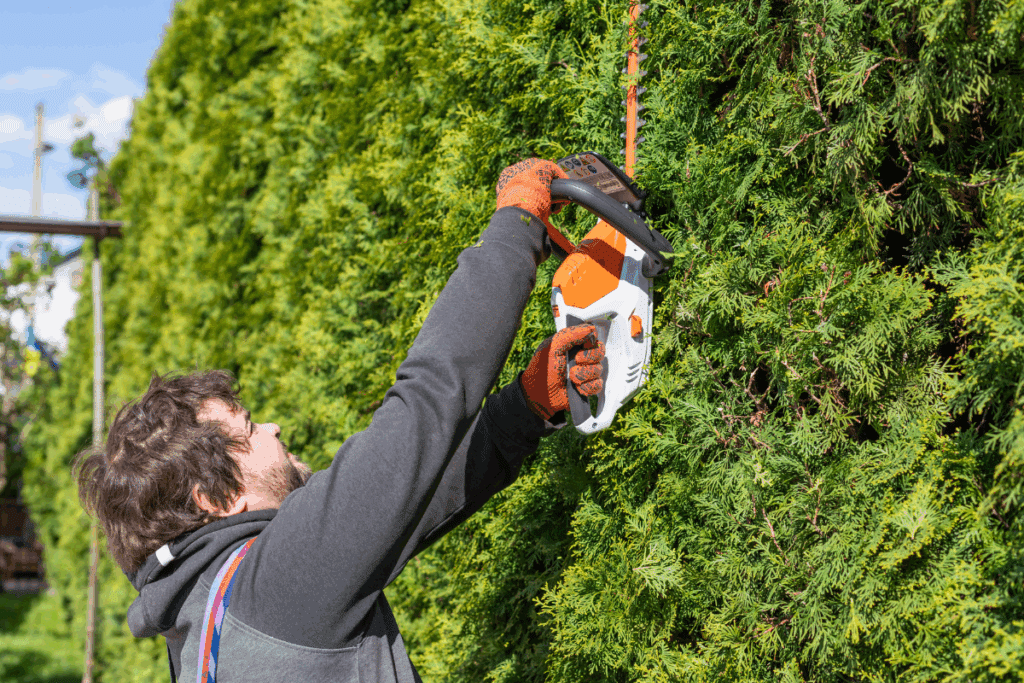 trimming the hedge overhanging